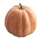 Project Party- Faux Terra Cotta Pumpkin